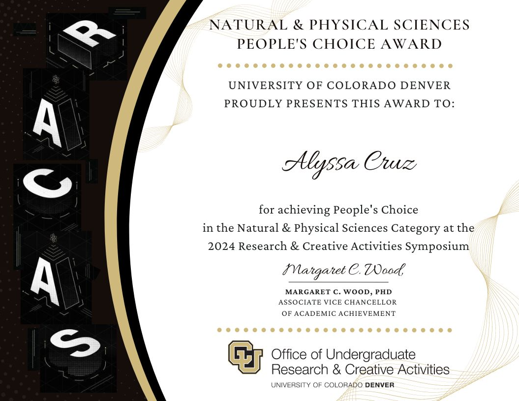 image of a poster award certificate