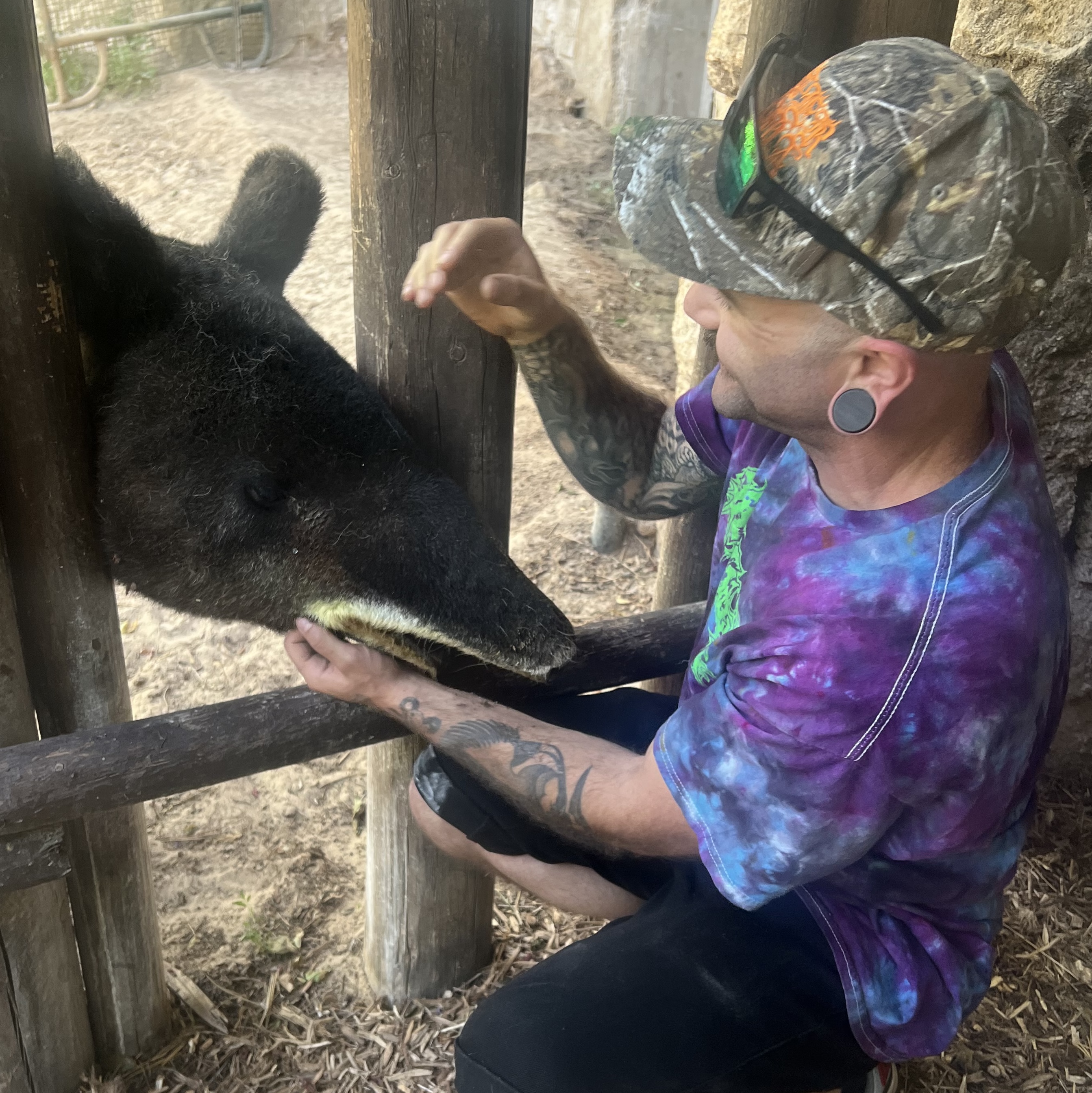 picture of Wil Wilson